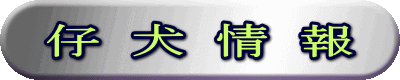 e ข ๎ ๑